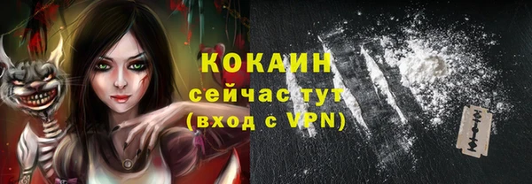 соль ск Козельск