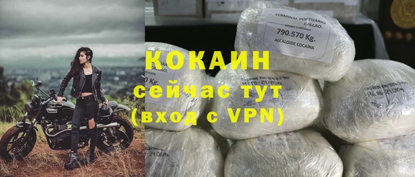 соль ск Козельск